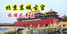 用假鸡巴狂插视频中国北京-东城古宫旅游风景区